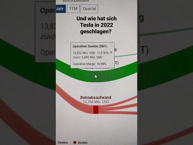 Wie hat sich Tesla in 2022 geschlagen?
