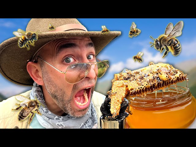 Insane Urban Beehive Extraction - You Won't Believe This!