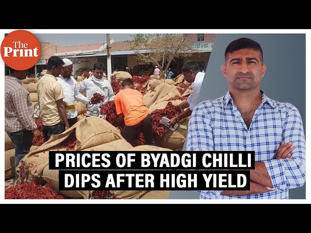 Bumper crop, bitter harvest — what led to Byadgi Chilli market violence