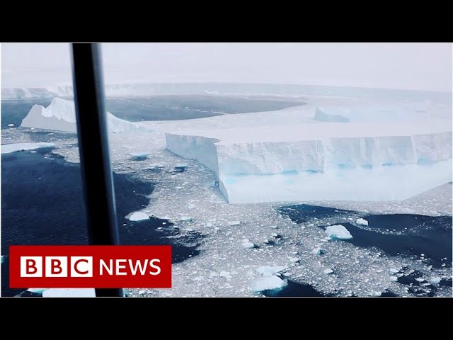 Video captures world's biggest iceberg - BBC News