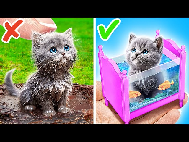 I Saved This Tiny Kitten *Crazy Hacks and DIYs For Cats and Dogs*