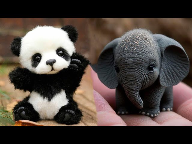 Cute Baby Animals Videos Compilation | Funny and Cute Moment of the Animals #10
