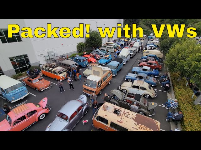 Wolfsburg West ALL VW CAR SHOW  Rare Busses Beetles
