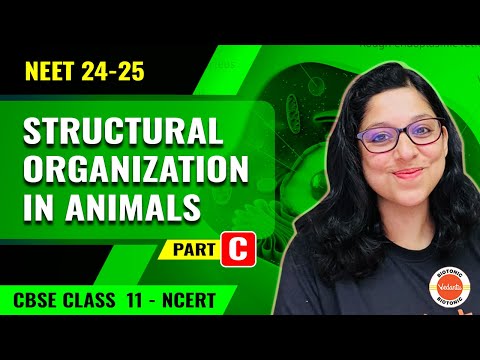Structural Organization In Animals | Playlists | NEET 24-25