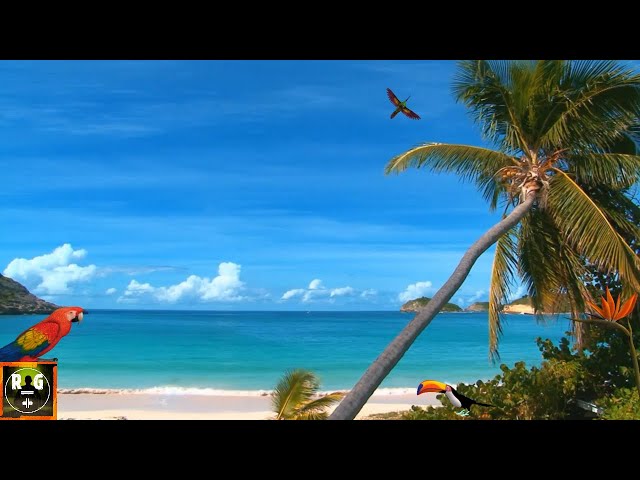 Caribbean Paradise Beach Screensaver & Ocean Waves Sounds for Sleeping, Relaxing | Deep Sleep Sounds