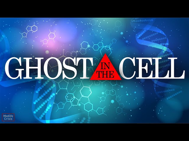 The Ghost Viruses Hiding In Your DNA