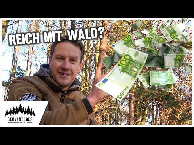 7 Wege mit deinem Wald Geld zu verdienen