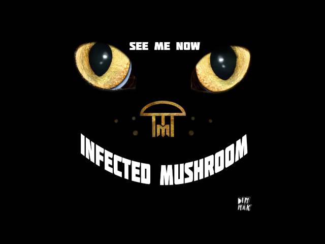 Infected Mushroom - See Me Now [HD]