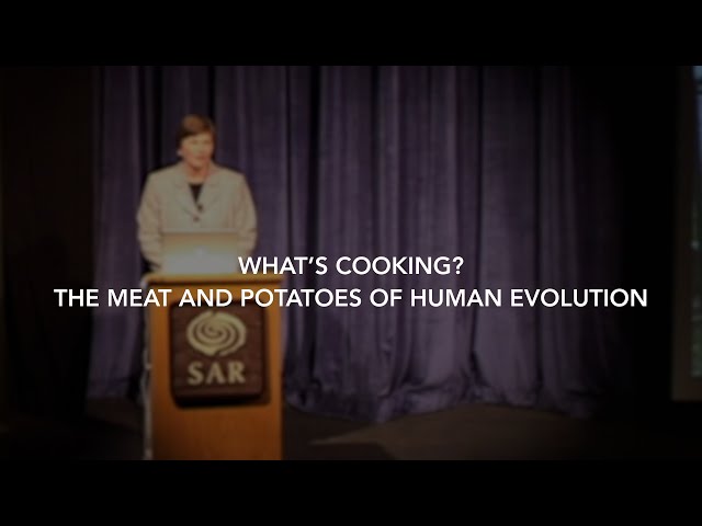 What’s Cooking? The Meat and Potatoes of Human Evolution | Dr. Jeanne Sept