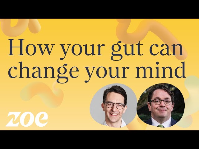 How your gut can change your mind | Professor John Cryan