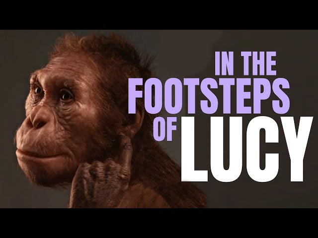 In the Footsteps of Lucy ~ with ELLIE MCNUTT
