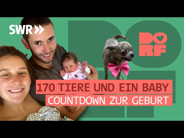 Baby Lou is coming: the animal rescuers become parents | DORFMENSCHEN