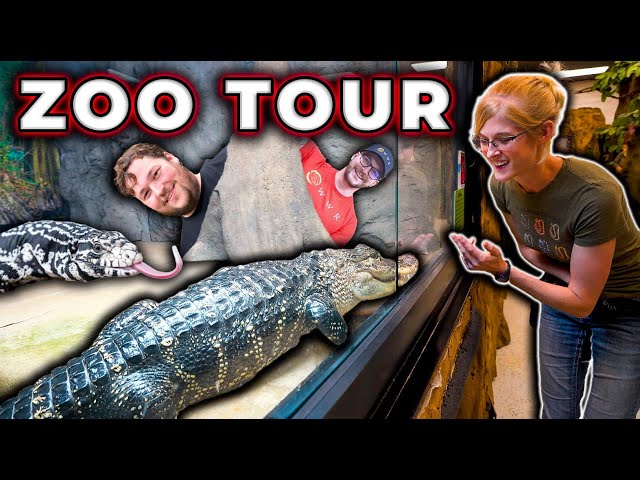 Snake Discovery Zoo Tour | I Snuck Into @SnakeDiscovery To Show You Everything Behind The Scenes!