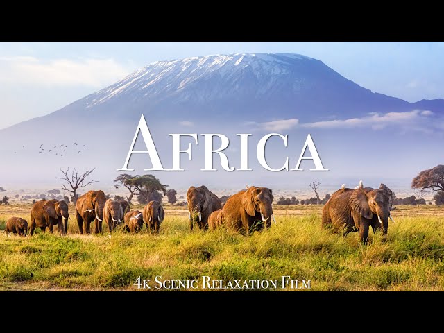 Africa 4K - Scenic Relaxation Film With African Music