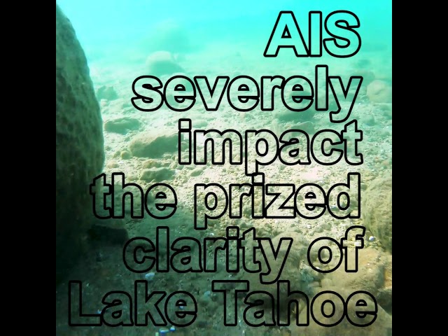 Lake Tahoe Aquatic Invasive Species Program
