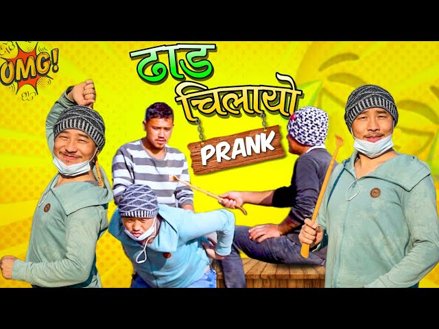 nepali prank | dhaad chilayo,ढाड चिलायो|funny/comedy prank | dhaad chilaayo prank video | alish rai
