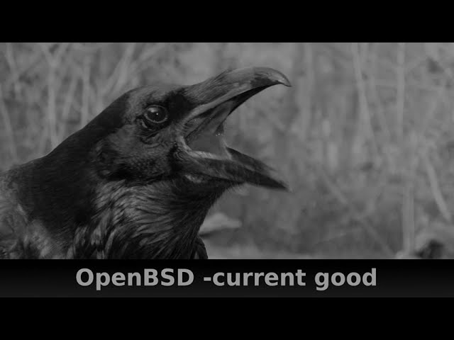 OpenBSD: Switching to -current is Easy