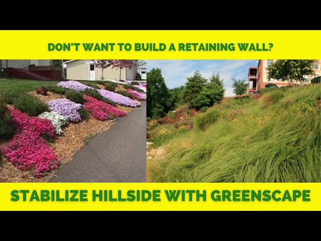 HILLSIDE STABILITY USING PLANT MATERIAL: How To & What Plants to Use