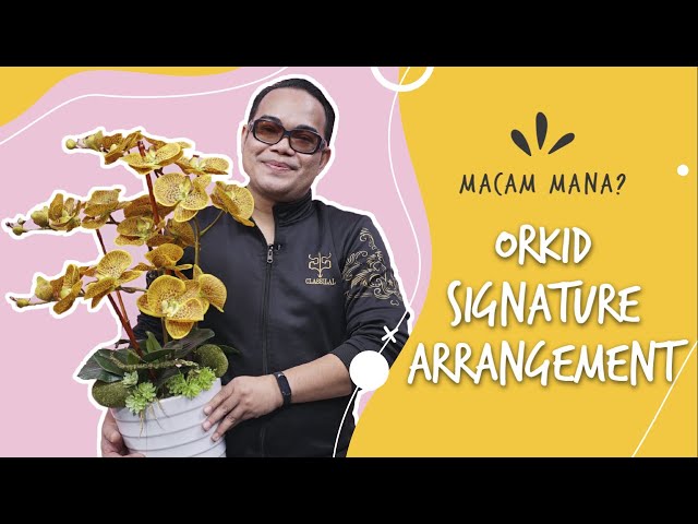 Cara Gubah Orkid Phalaenopsis (3 Tangkai) | Macam Mana