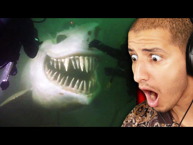 The Ocean Is WAY DEEPER Than You Think... (Scary)