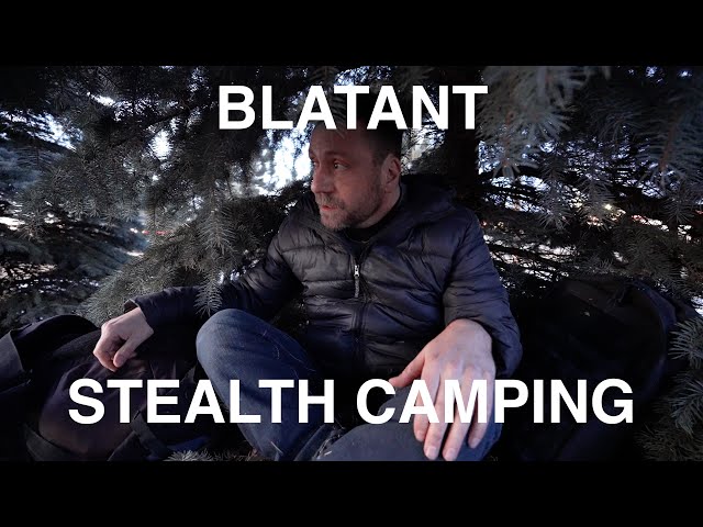 Blatant Stealth Camping Under Tree