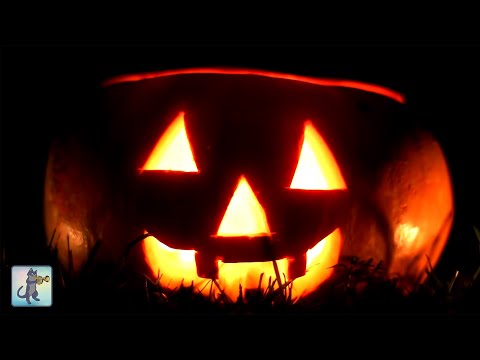 🎃 Halloween Videos