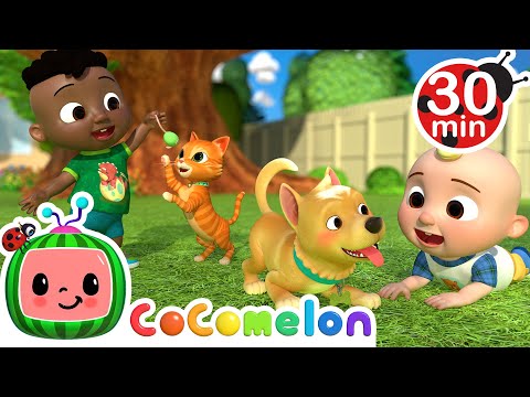 Opposite Song + More | CoComelon - It's Cody Time | CoComelon Songs for Kids & Nursery Rhymes
