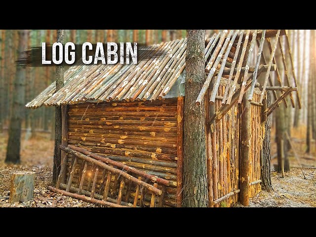 Building my log cabin alone in the woods. Part 5.