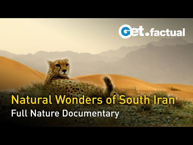 Wild Iran - To the South | Full Nature Documentary - Part 1