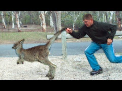 My Awesome Australia Adventure! - Smarter Every Day 99