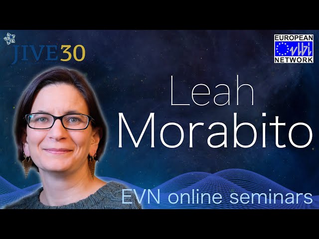 EVN Seminar: The highest resolution at the lowest radio frequencies: the LOFAR view of the radio sky