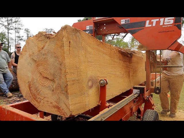 Massive Pine Log With An Unbelievable Heart