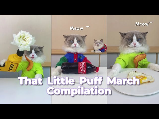 That Little Puff Compilation | March collection