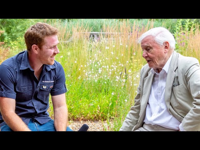 Sir David Attenborough - Conservation and Gardening for Wildlife - An Interview - 4K