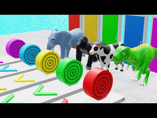 5 Giant Ducks,gorilla, elephants, cats, cows, tigers,chickens,Lions into sliding water Paint Animals