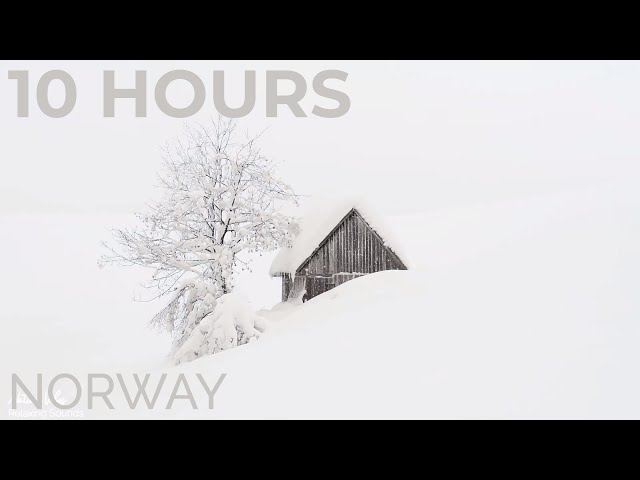 Snow Falling & Winter Wind Sounds for Deep Sleep | Falling Snow & Strong Snow Sounds