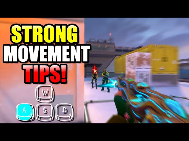 5 Movement Tips you NEED to Know!