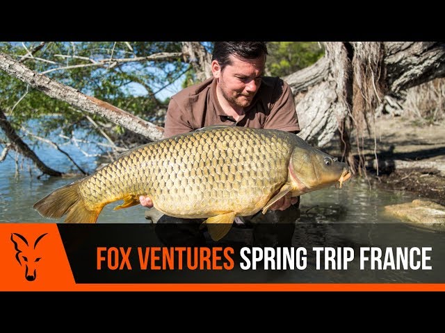 ***Karpfenangeln TV*** FoxVentures - Spring Trip France