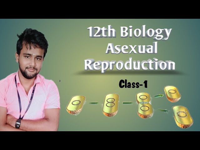 +2 2nd Year Biology Reproduction// Class-1//CHSE & CBSE// By Jogesh Kumar Nayak
