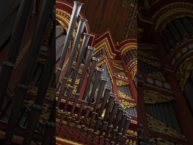 Let‘s wake up some people! 😇 Part 5 #music #organ #church
