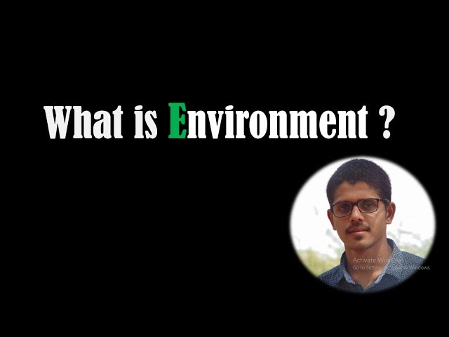 What is Environment