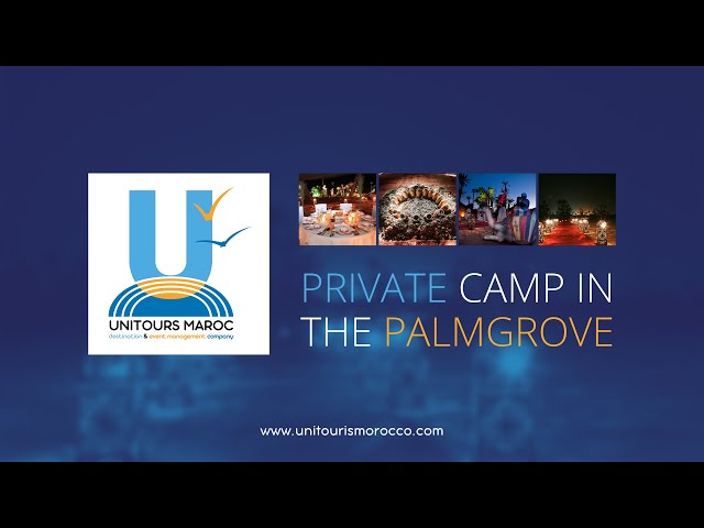 Private Camp in the Palmgrove