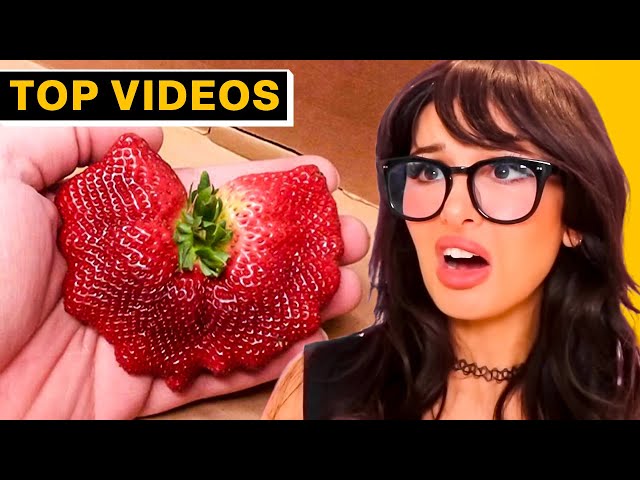 MOST INCREDIBLE People Who Got Lucky With Food! | SSSniperWolf