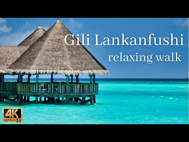 Virtual tour at Eco Luxury Resort｜Gili Lankanfushi Maldives - 4K with relaxing smooth jazz
