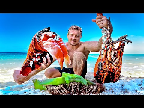 Solo Survival SPINED LOBSTER Catch n Cook On A Tropical Island