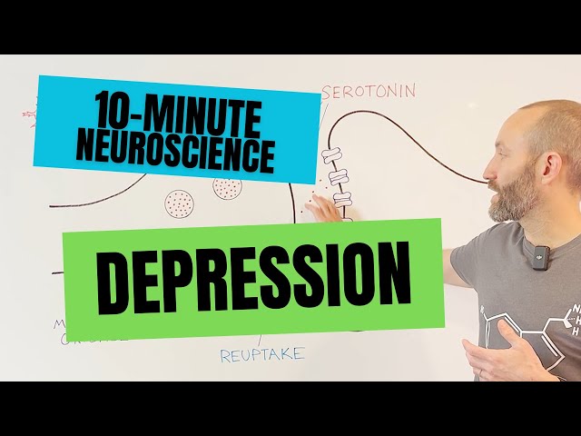 10-Minute Neuroscience: Depression