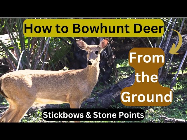 AMBUSH CLOSE! The BEST Strategies for Bowhunting Deer on the Ground.