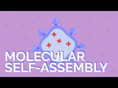 The Molecular World