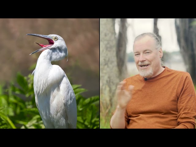 Birding Photography with the OM System OM-1 and Peter Baumgarten