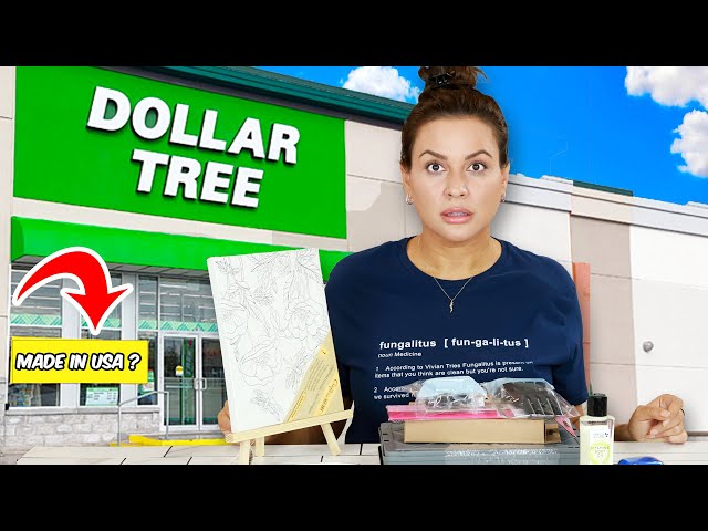 New Dollar Tree Products: How many Dollar Tree Items would I pay more for